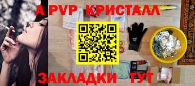 СК Гатчина