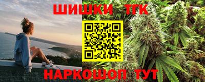 СК Гатчина