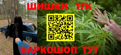 СК Гатчина