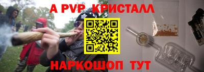 СК Гатчина